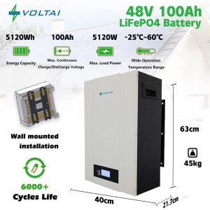 Batterie au lithium BMS Lifepo4 de 48V 100ah pour la batterie de stockage d'énergie à la maison