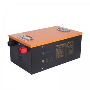 Batterie au lithium à cycle profond 24V 100Ah avec BMS