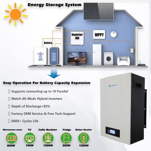 Batterie au lithium BMS Lifepo4 de 48V 100ah pour la batterie de stockage d'énergie à la maison