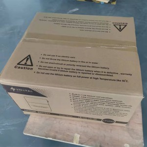 Batteria al litio da 24 V (25,6 V) 100 Ah montata a parete