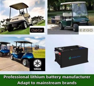 48V 72V 105Ah 160Ah Lifepo4 Battery Manufacturer For Golf Cart Utility Vehicle